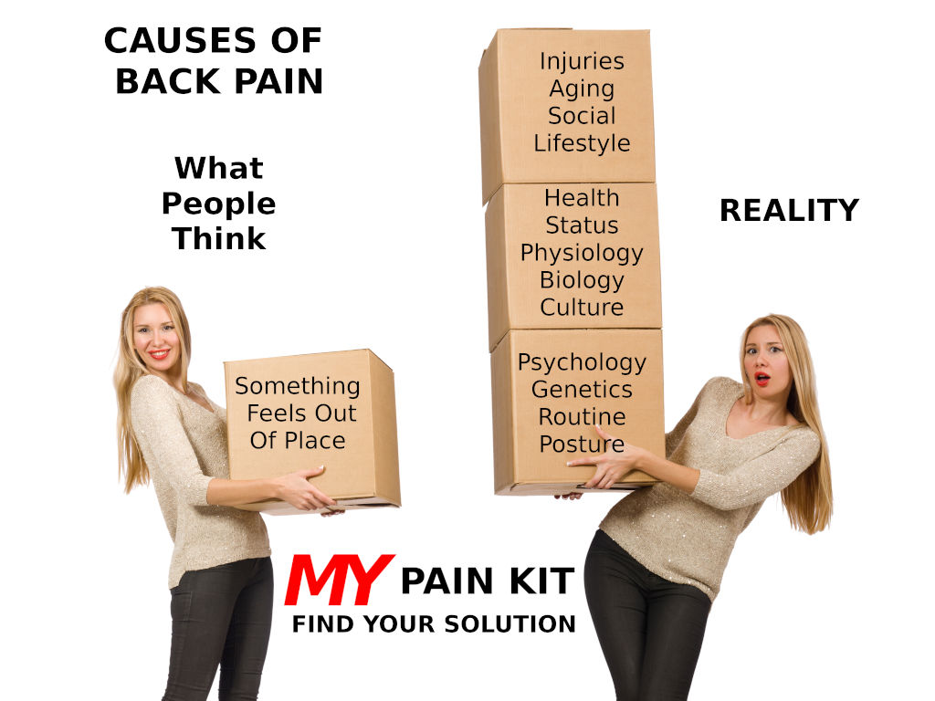 Does Office Work Cause Neck & Back Pain?